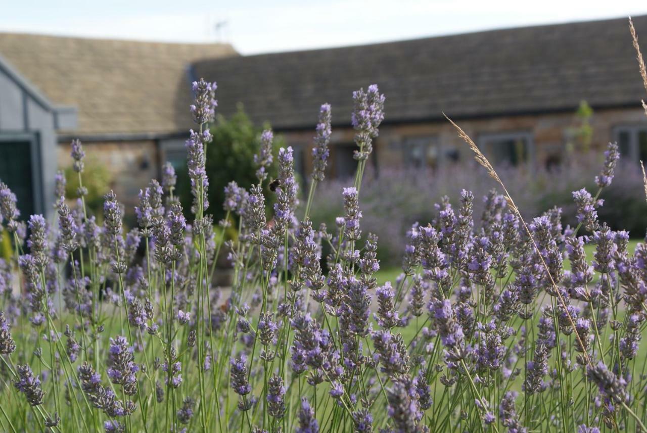 Harrogate Barns 빌라 외부 사진